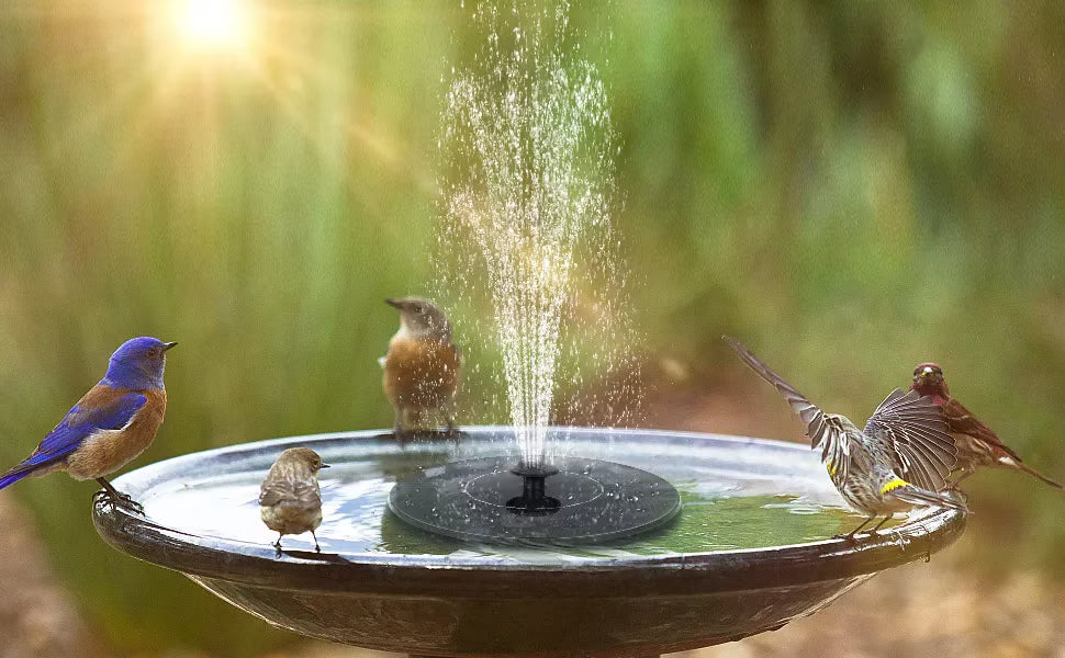 💝 Bomba de fuente solar compacta para aves – ¡Mantén tu jardín vivo! 🐦️