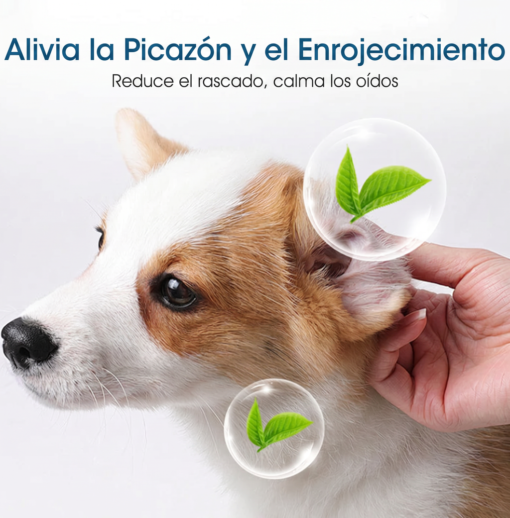 🐶🐱 Limpiador de oídos, alivia la picazón en perros y gatos.