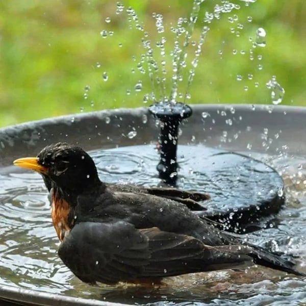💝 Bomba de fuente solar compacta para aves – ¡Mantén tu jardín vivo! 🐦️