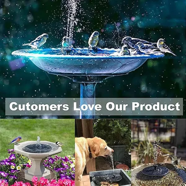 💝 Bomba de fuente solar compacta para aves – ¡Mantén tu jardín vivo! 🐦️